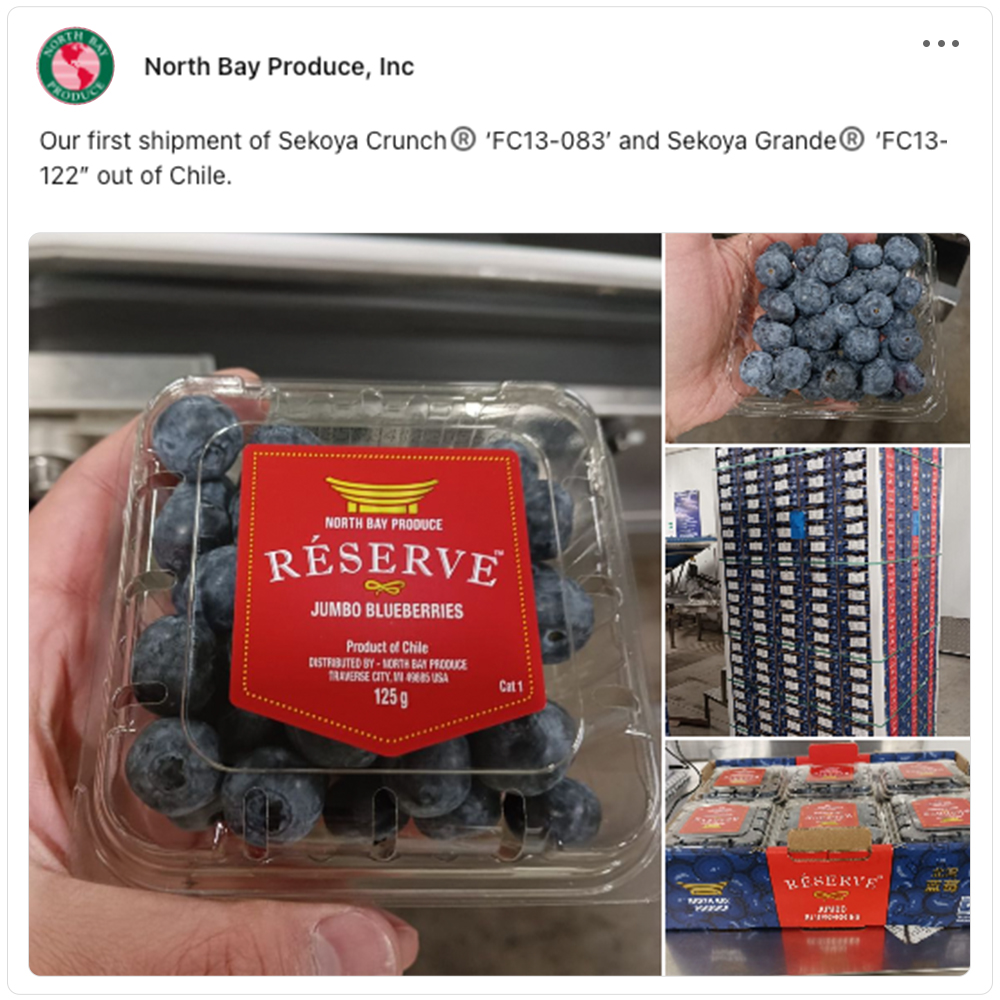 Get social with North Bay Produce | January 8, 2025 10:30 AM