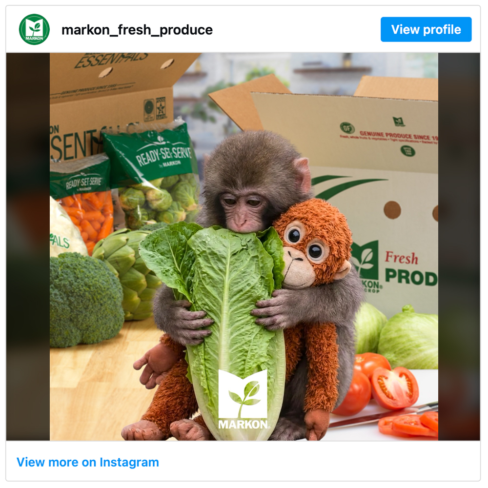 Get social with Markon | March 9, 2026 6:00 AM
