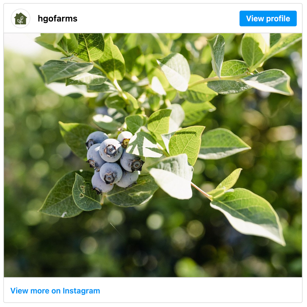 Get social with Homegrown Organic Farms | May 2, 2025 5:00 AM