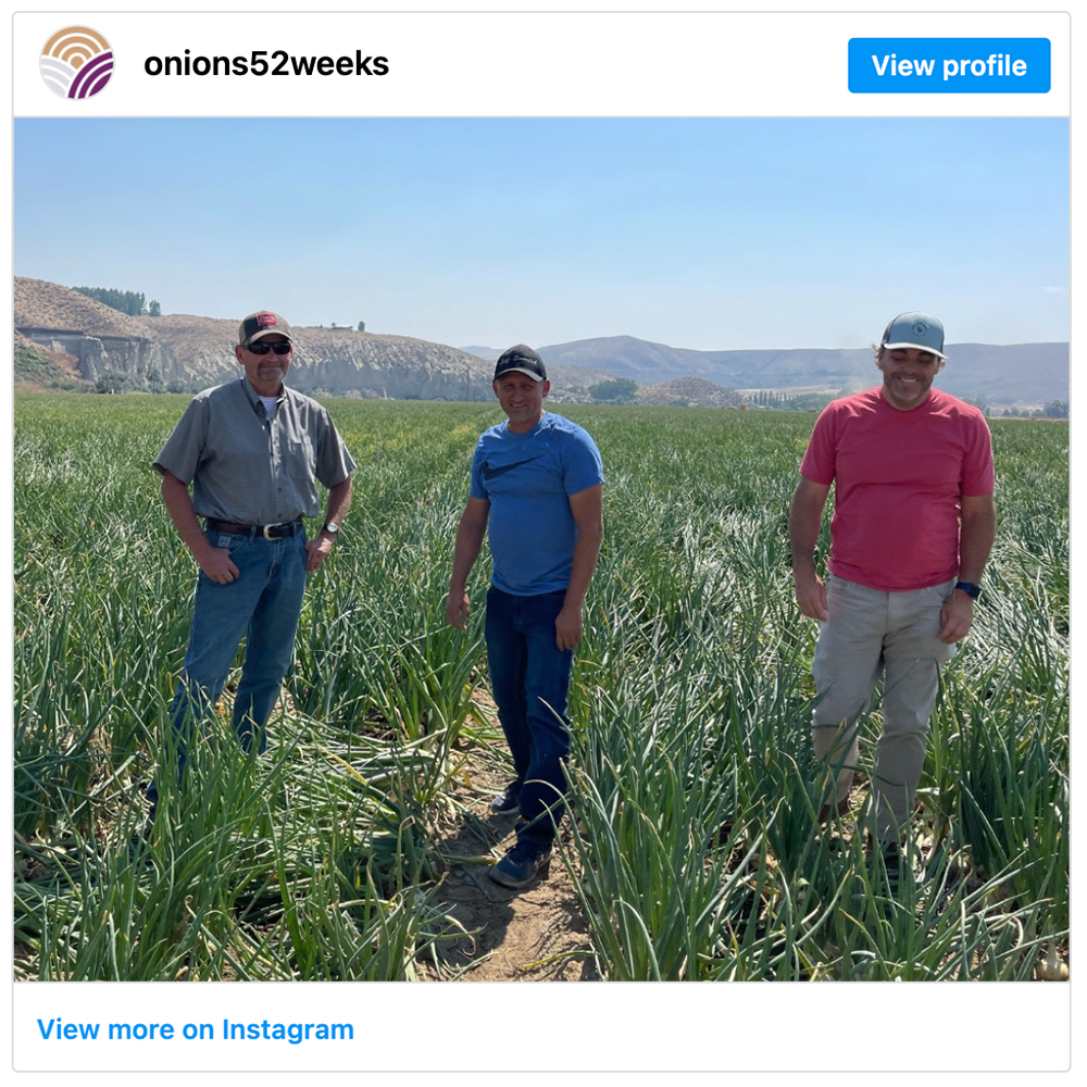 Get social with Onions 52 | July 31, 2025 5:00 AM