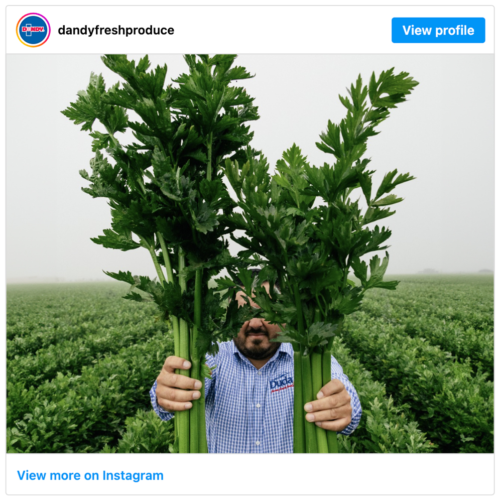 Get social with Duda Farm Fresh Foods | August 19, 2025 05:00 AM