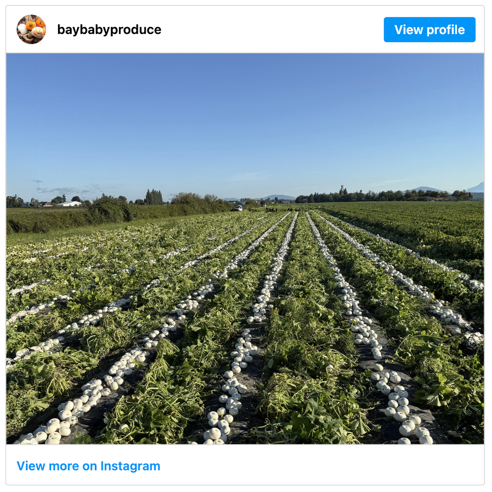 Get social with Bay Baby Produce | August 20, 2025 5:00 AM