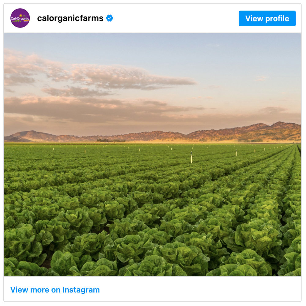Get social with Cal-Organic Farms | August 20, 2025 10:30 AM