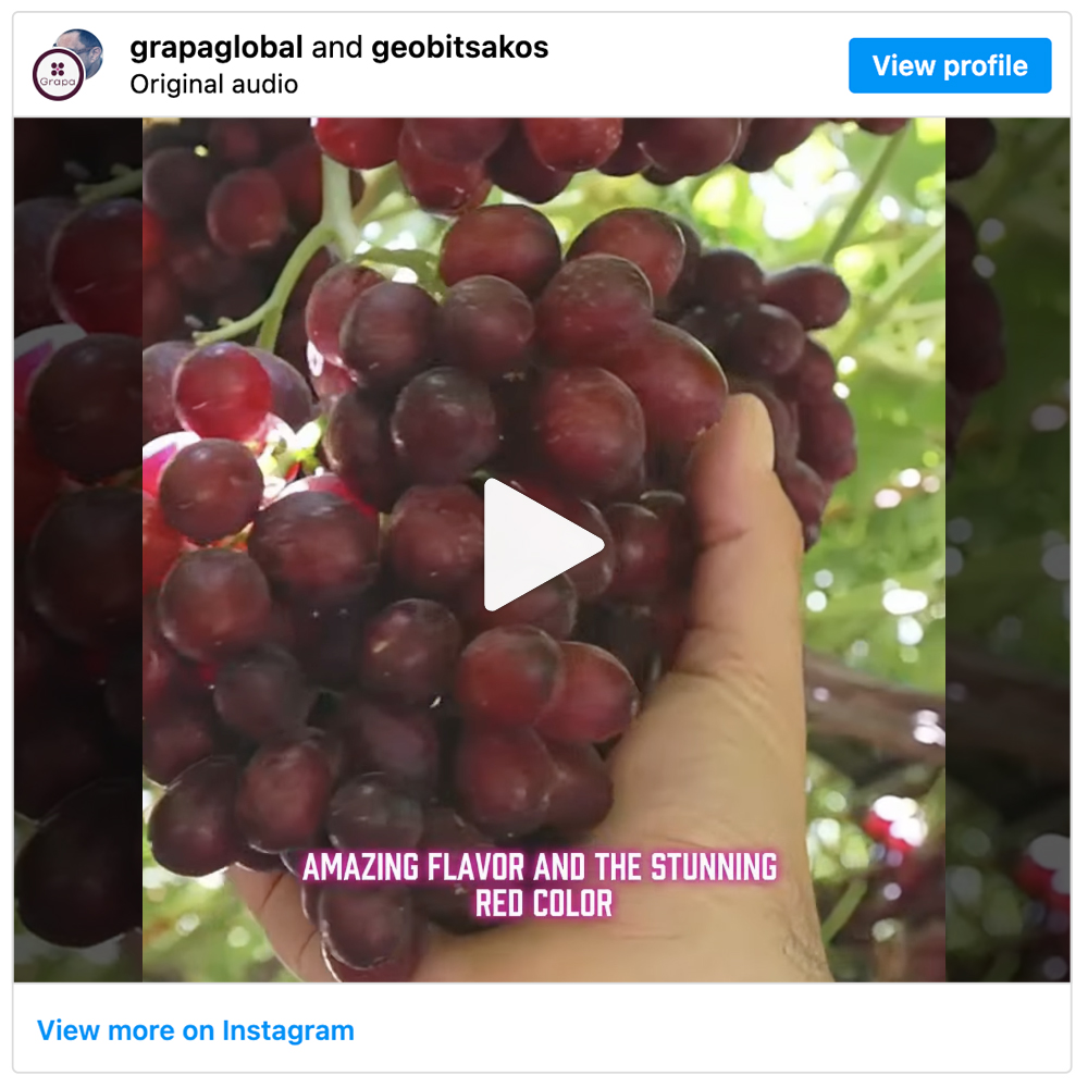 Get social with Produce in the Wild  | August 25, 2025 10:30 AM