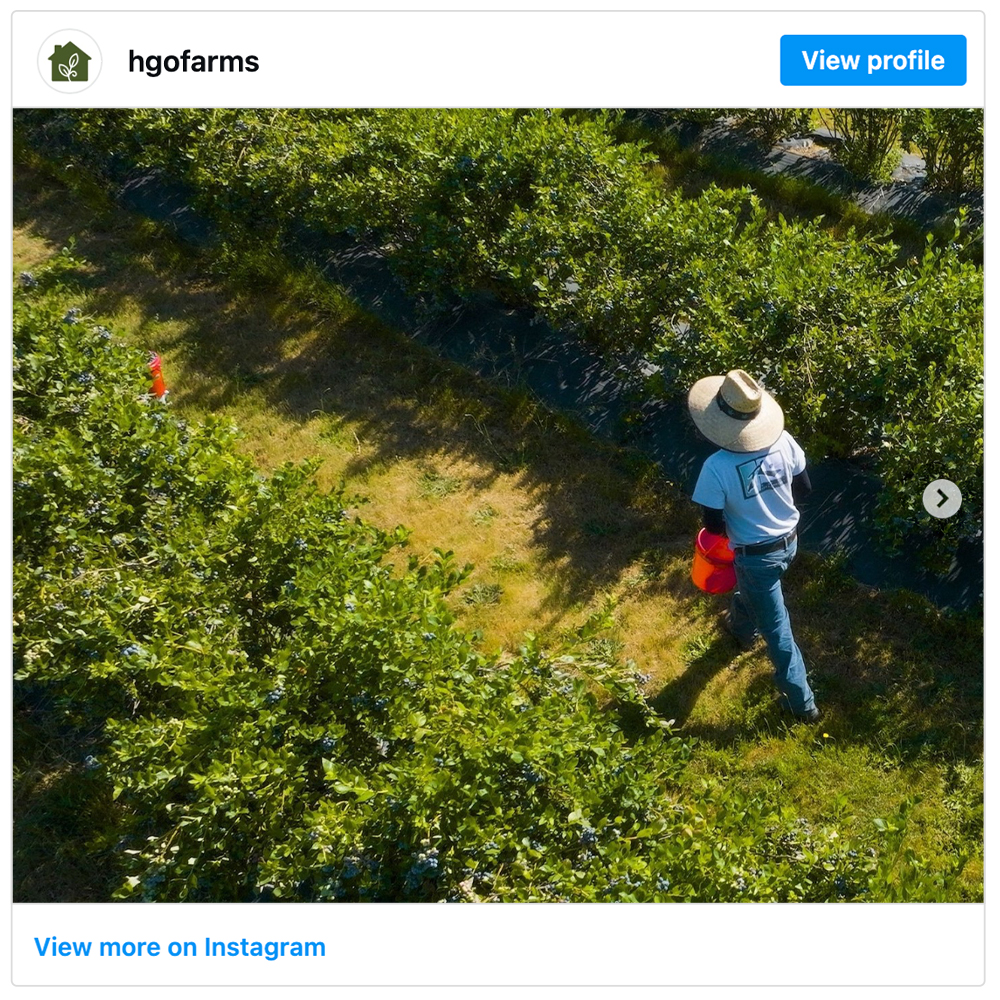 Get social with Homegrown Organic Farms | August 27, 2026 5:00 AM