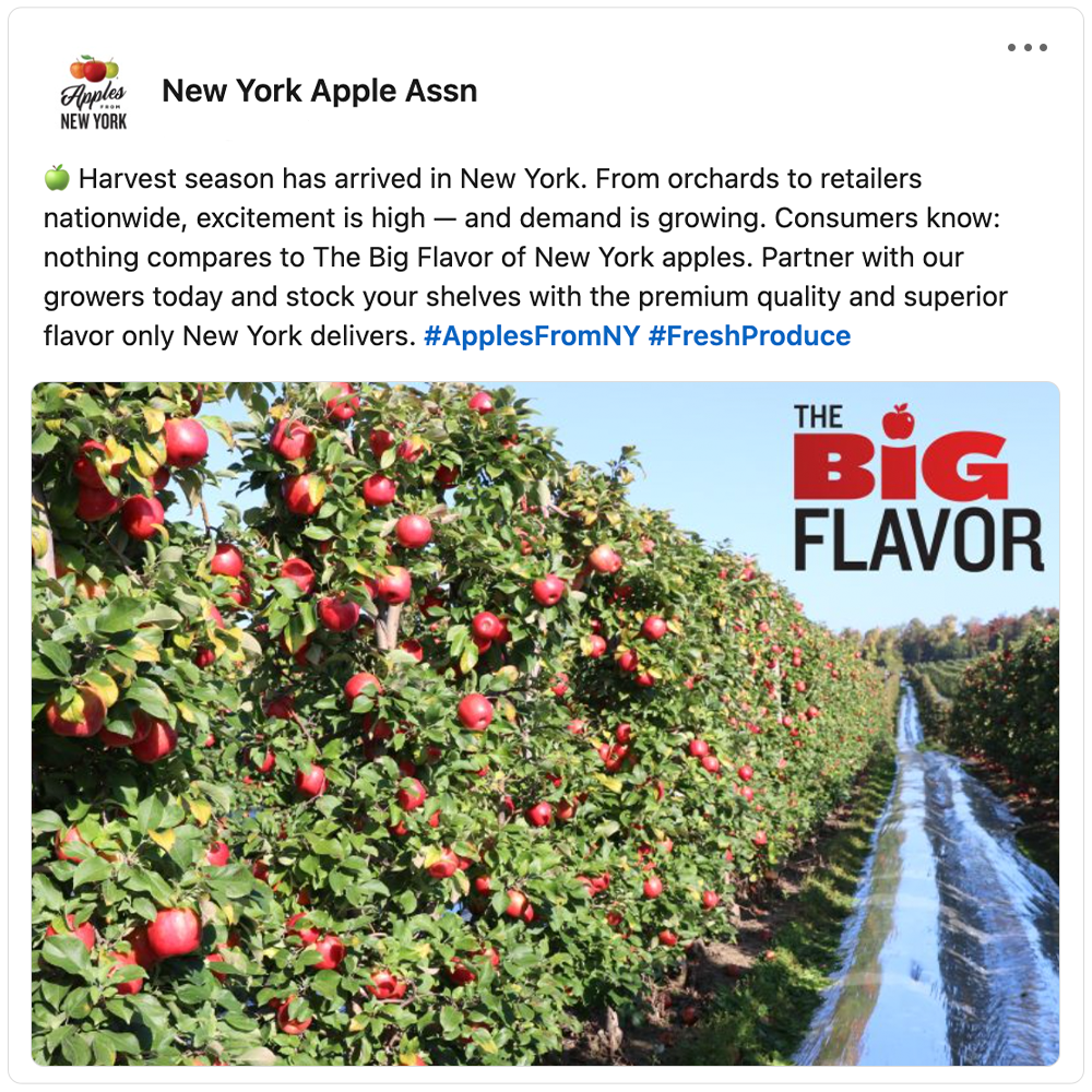 Get social with New York Apple Association  | September 8, 2025 5:00 AM