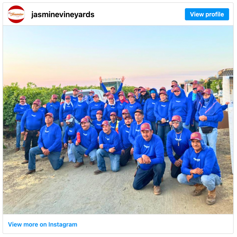 Get social with Jasmine Vineyards | September 11, 2025 10:30 AM