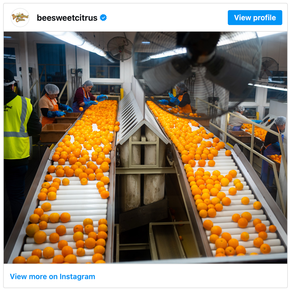 Get social with Bee Sweet Citrus | September 29, 2026 10:30 AM