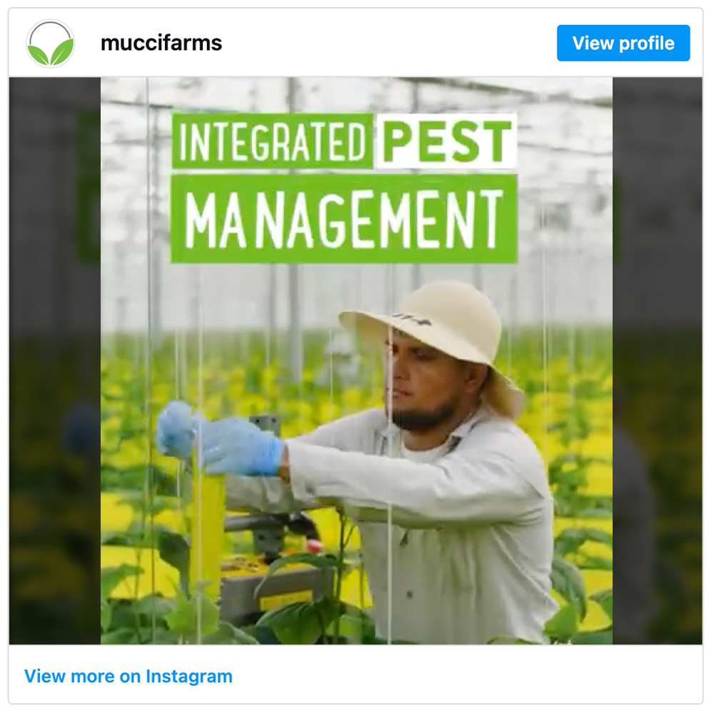 Get social with Mucci Farms | September 29, 2026 10:30 AM