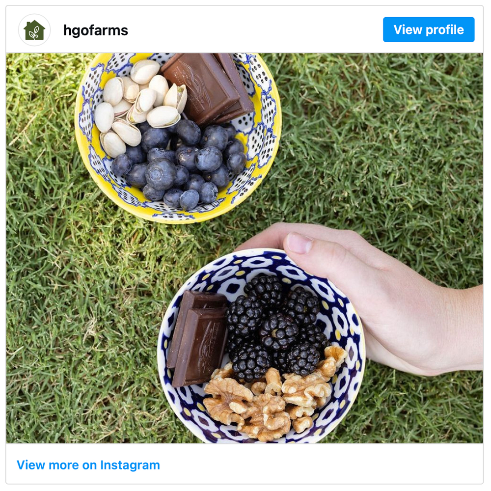 Get social with Homegrown Organic Farms | September 30, 2026 5:00 AM