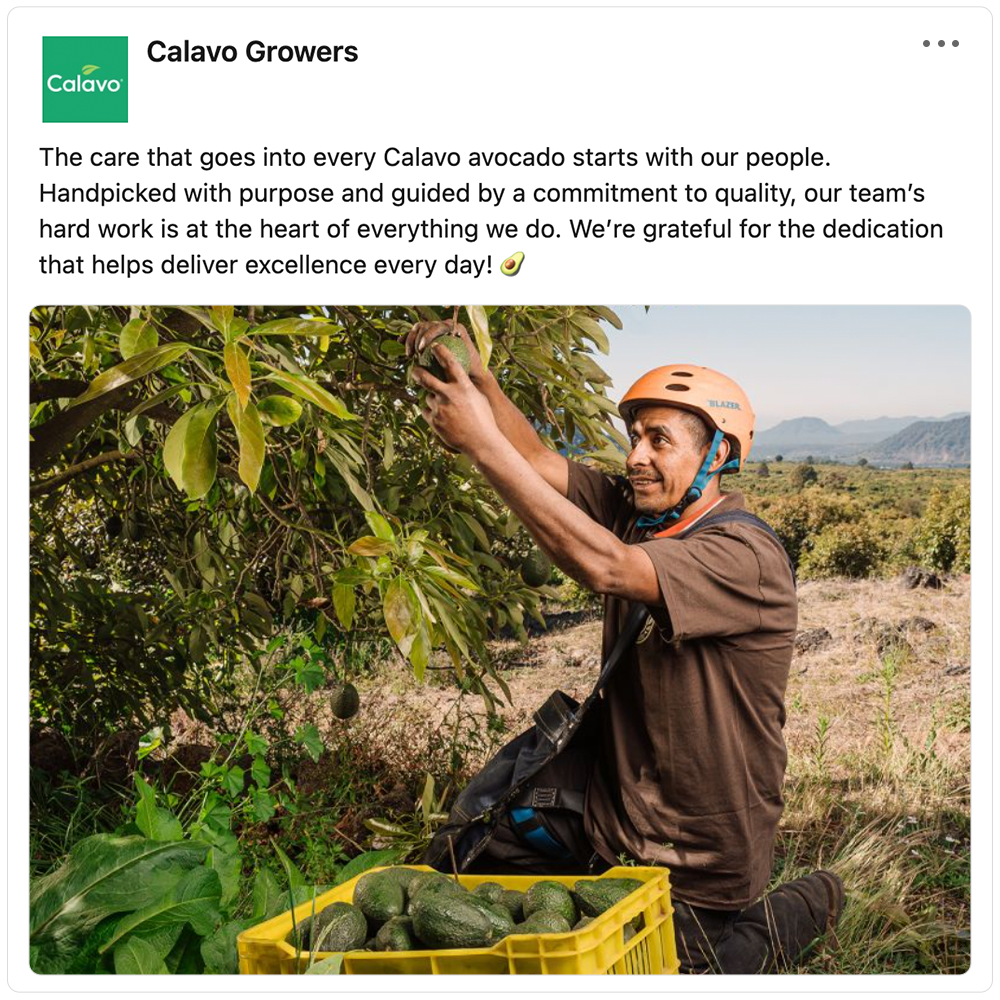 Get social with Calavo Growers | January 12, 2026 5:00 AM