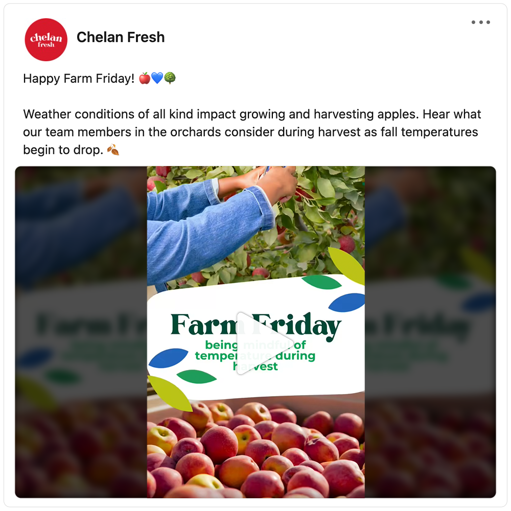 Get social with Chelan Fresh | October 31, 2025 10:30 AM