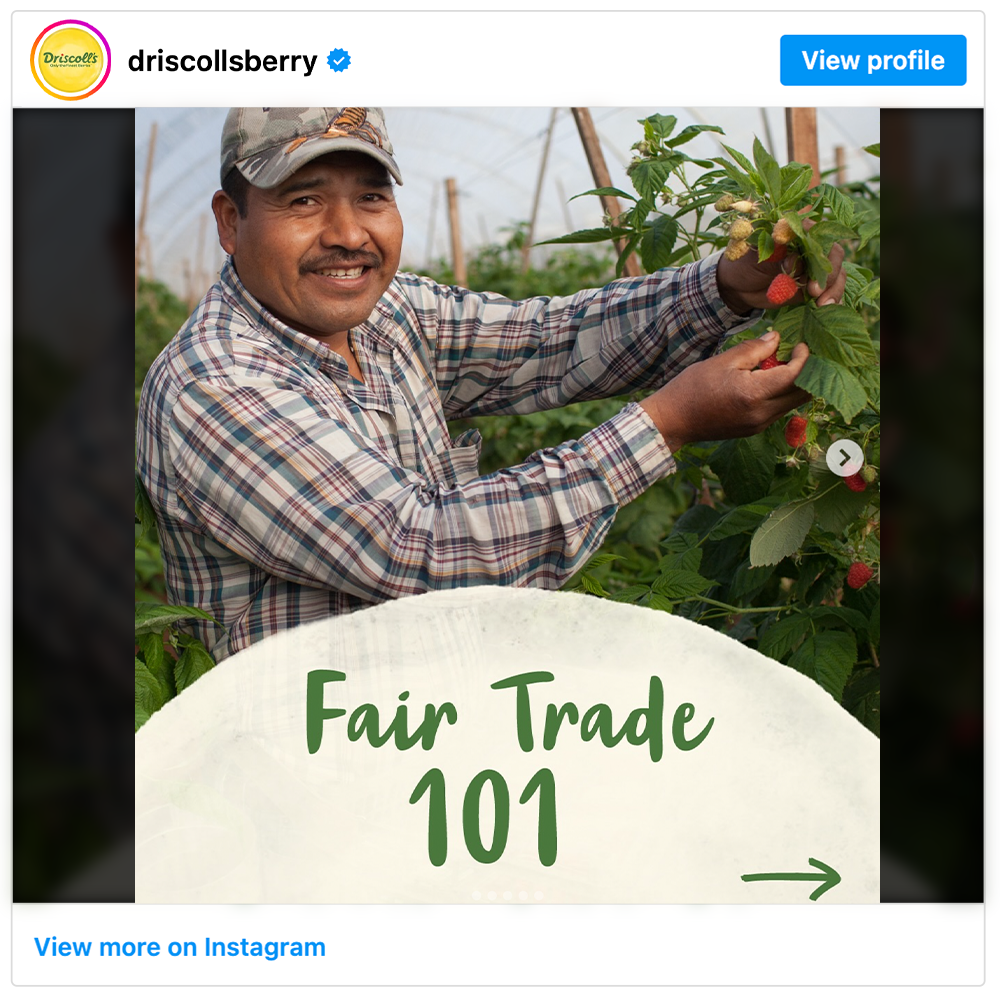 Get social with  Driscoll's | April 10, 2025 5:00 AM