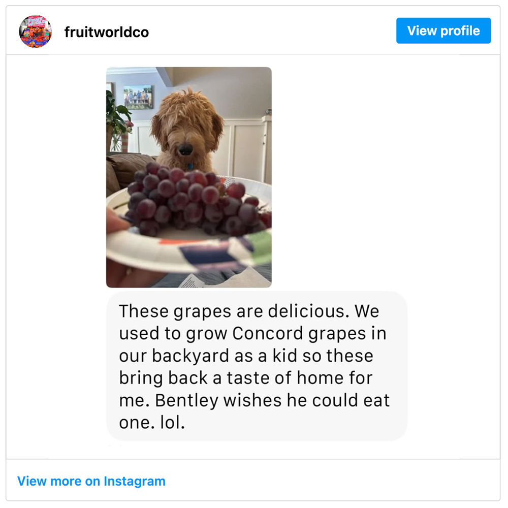 Get social with  Fruit World | September 24, 2025 5:00 AM