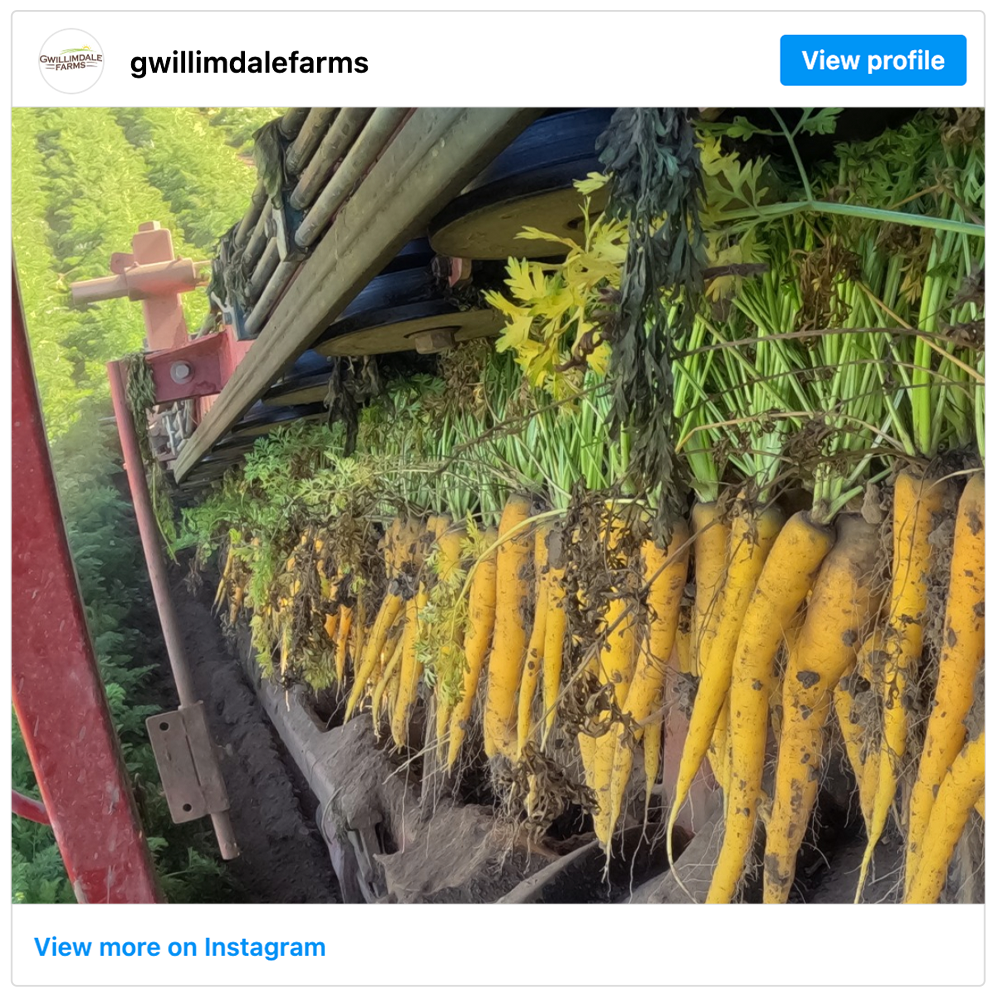 Get social with  Gwillimdale Farms | November 3, 2025 4:00 AM