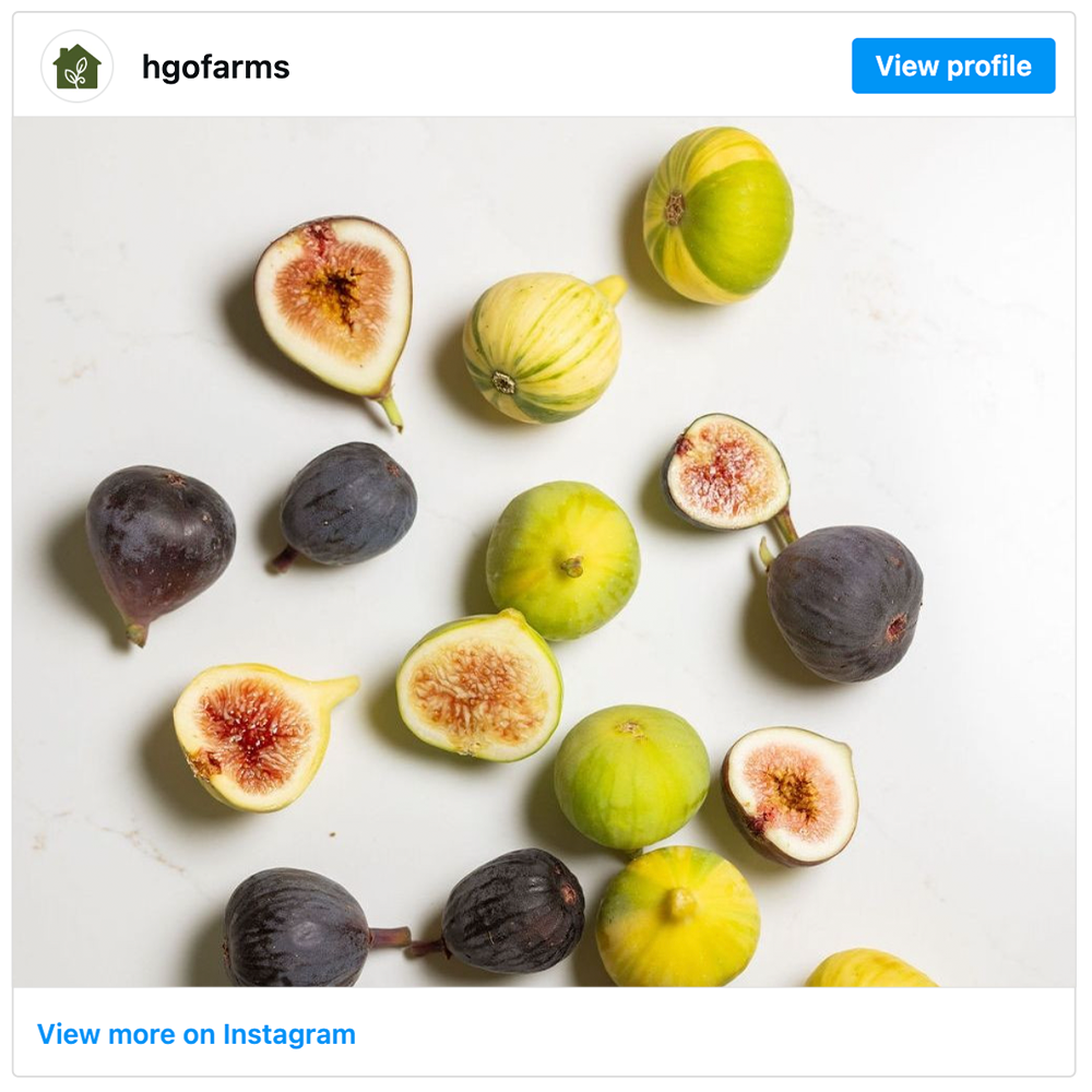 Get social with Homegrown Organic Farms | September 9, 2026 5:00 AM