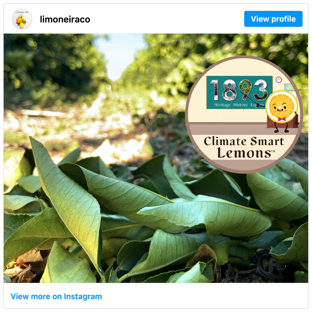 Get social with  Limoneira | January 6, 2025 10:30 AM