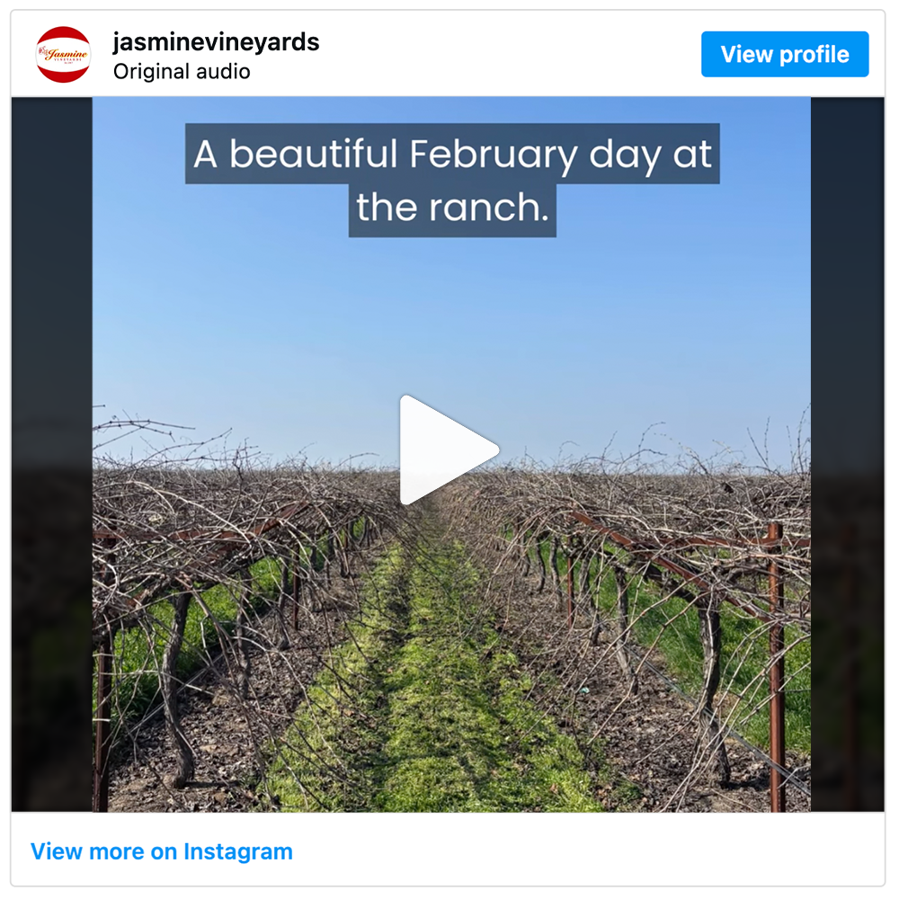 Get social with Jasmine Vineyards | February 12, 2026 5:00 AM
