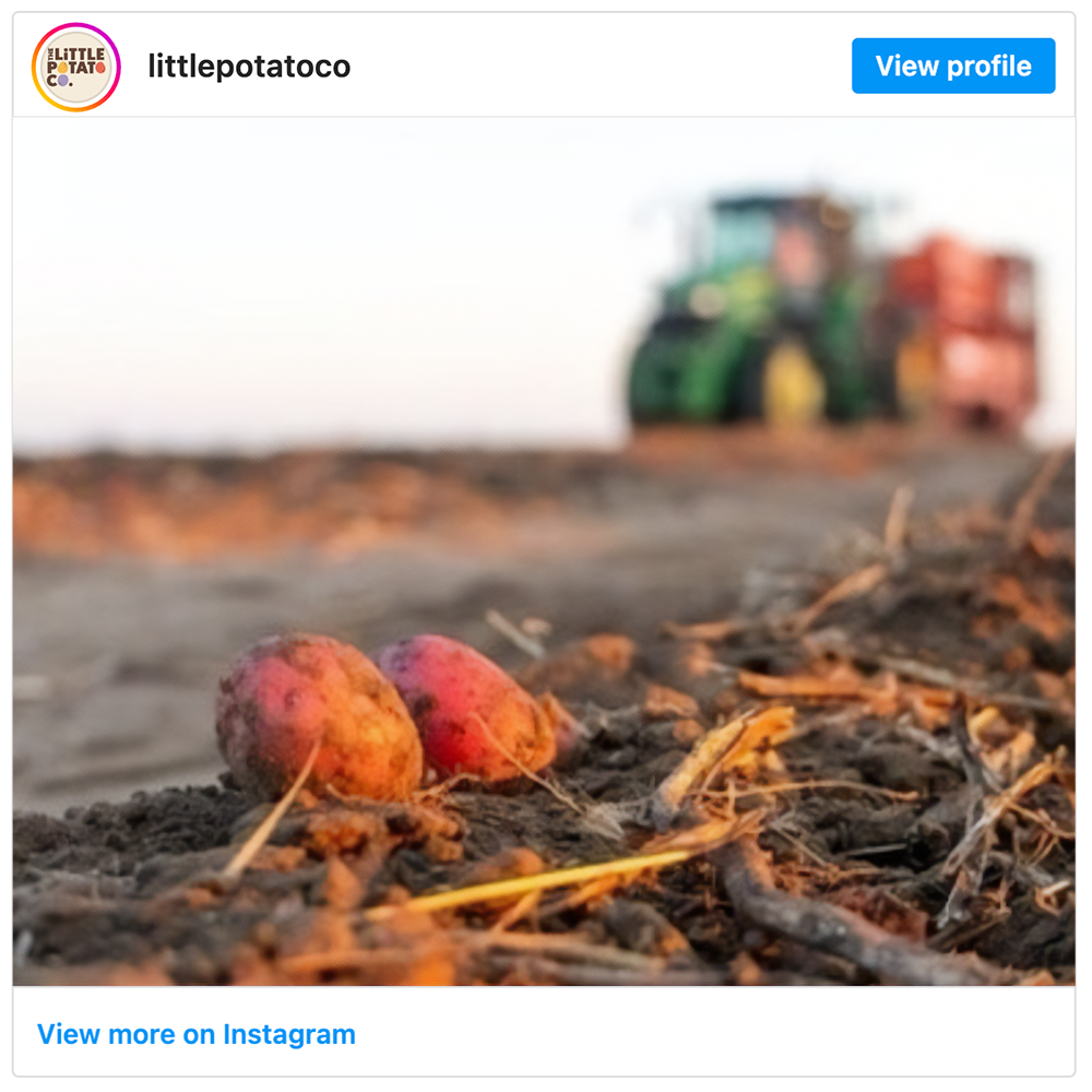 Get social with The Little Potato Company | January 6, 2025 10:30 AM