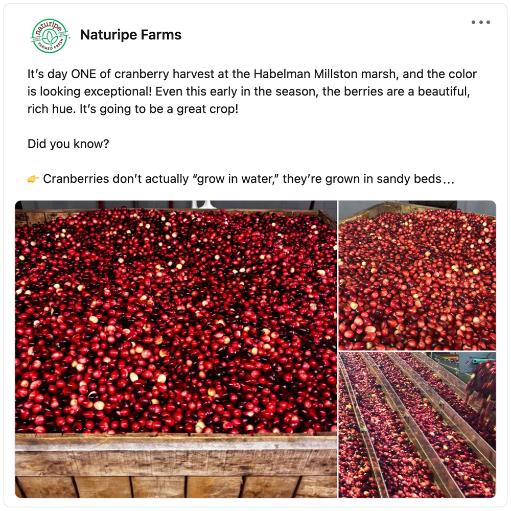 Get social with  Naturipe | September 29, 2025 5:00 AM