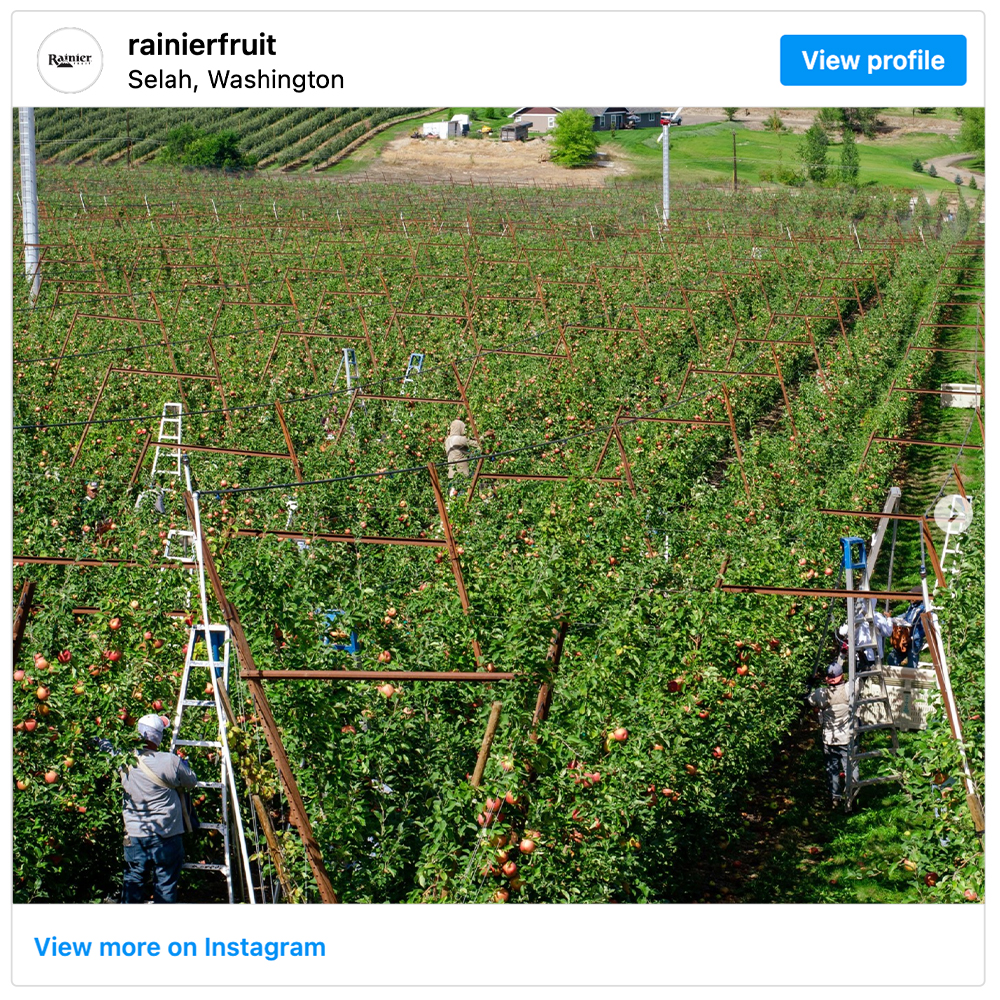 Get social with  Rainier Fruit Company | August 15, 2025 5:00 AM
