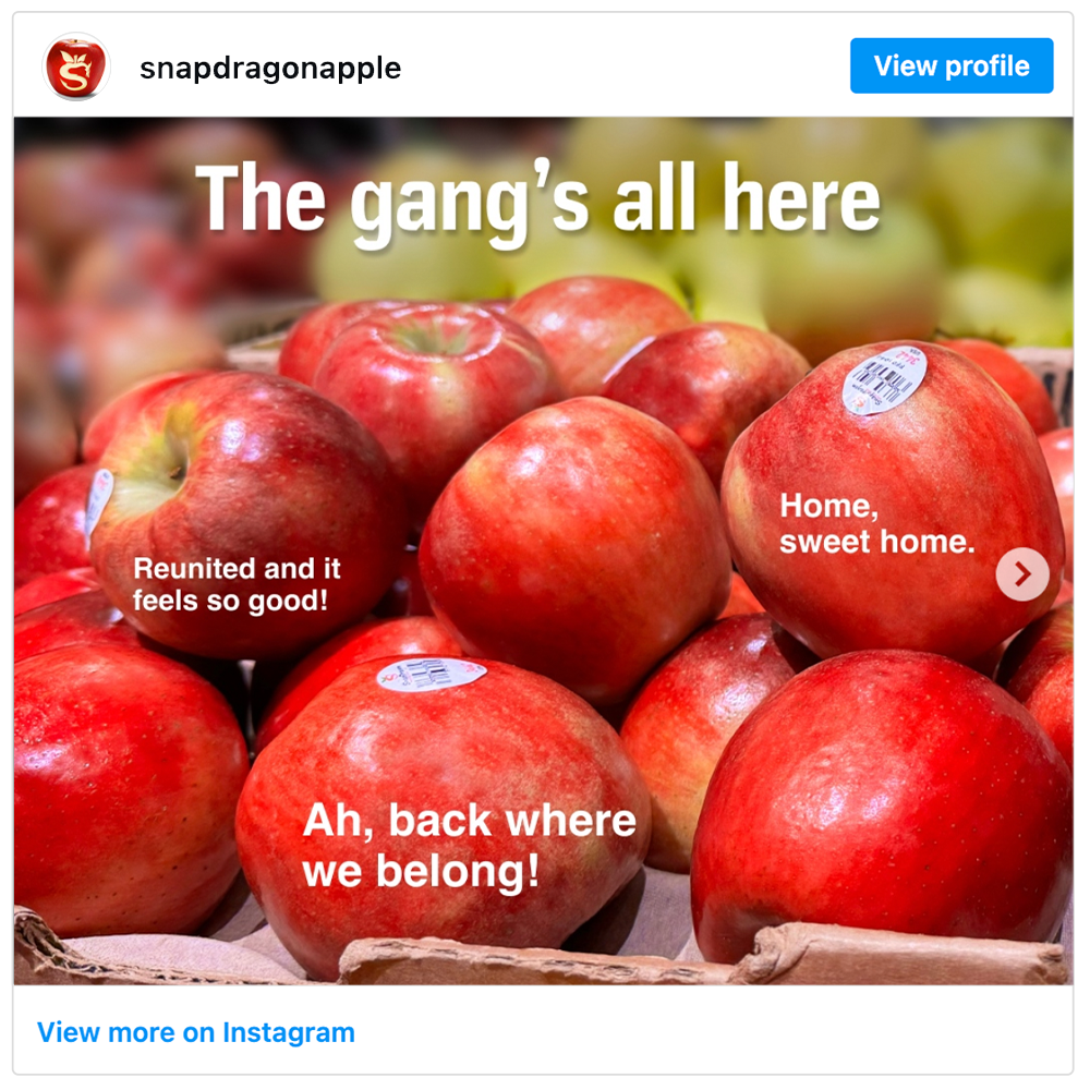 Get social with  SL: SnapDragon Apples | October 15, 2026 10:30 AM