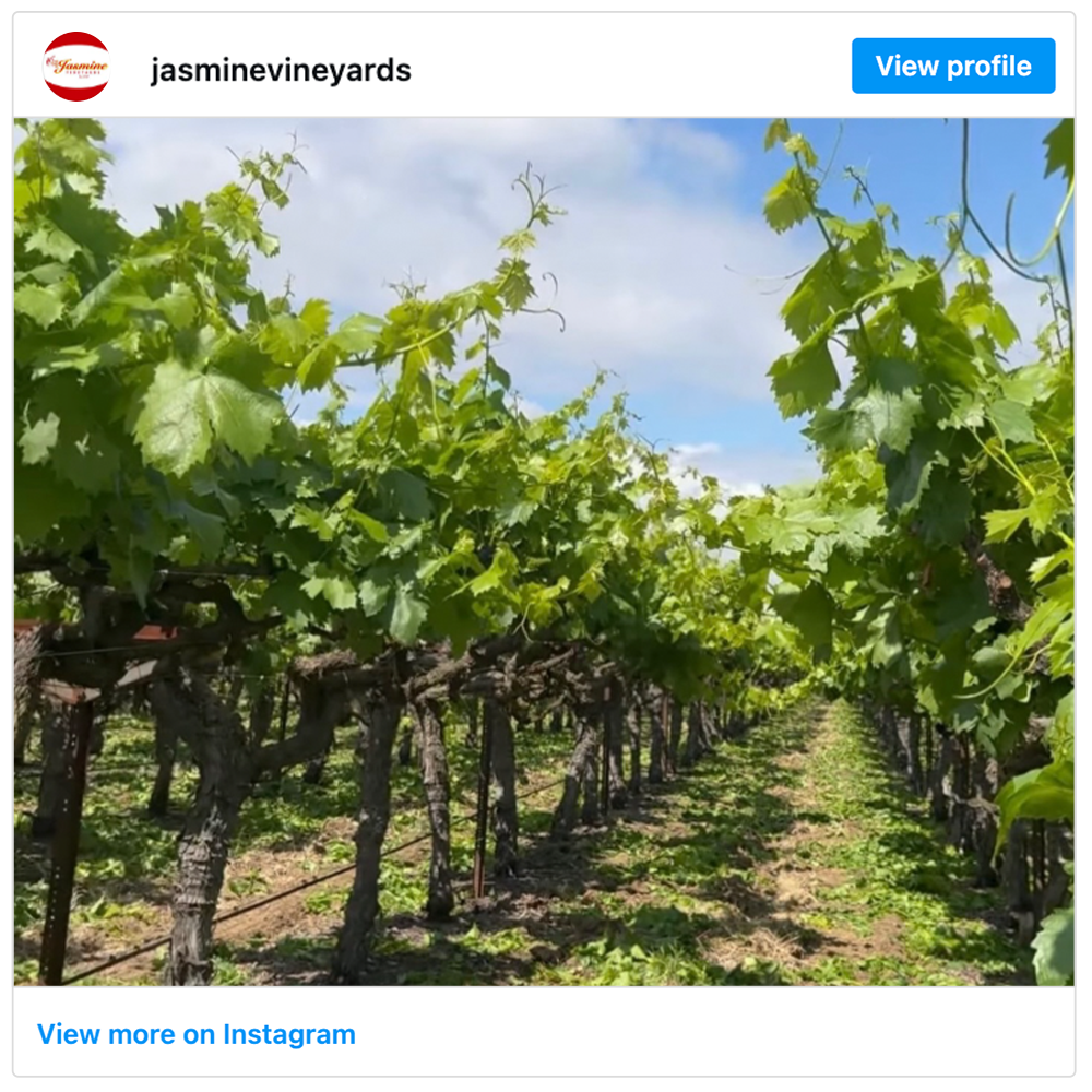 Get social with Jasmine Vineyards | April 28, 2026 5:00 AM