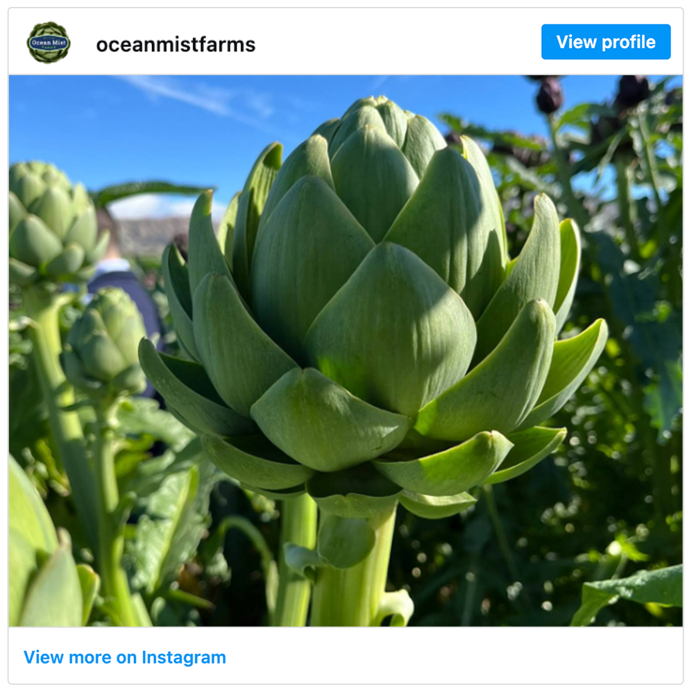 Get social with Ocean Mist® Farms | April 30, 2026 5:00 AM