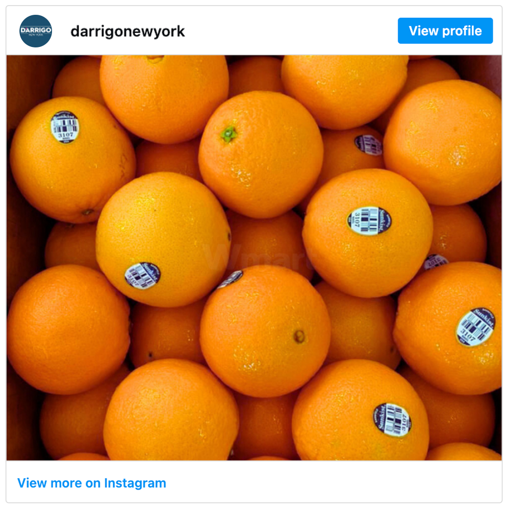Get social with D'Arrigo NY | January 14, 2026 5:00 AM