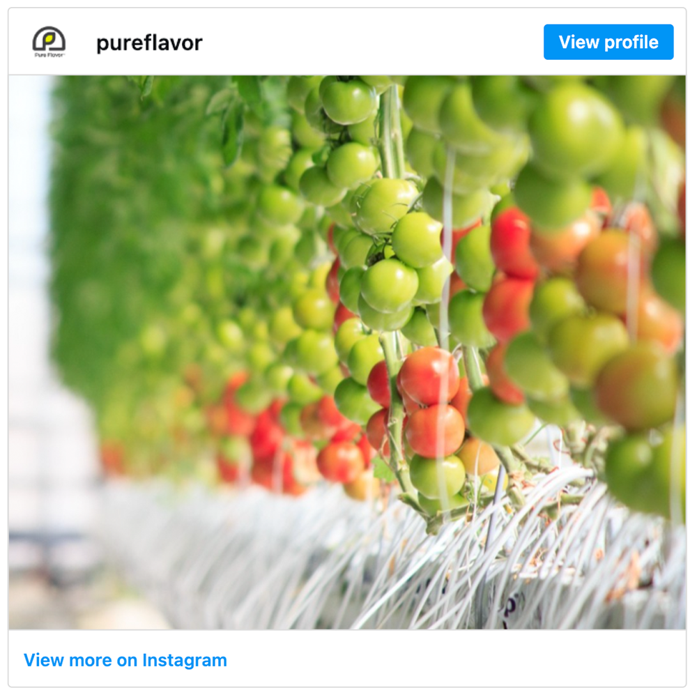 Get social with Pure Flavor | January 14, 2026 5:00 AM