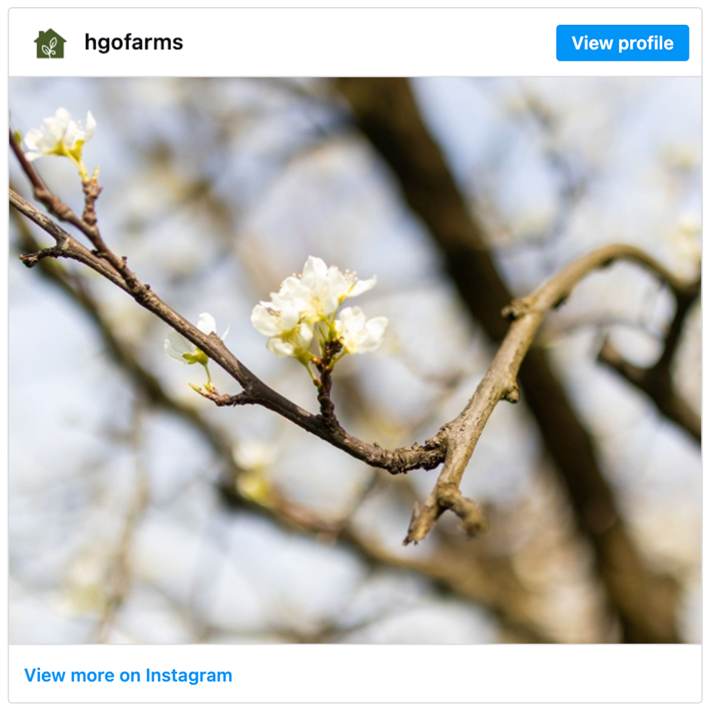 Get social with Homegrown Organic Farms | February 19, 2026 5:00 AM