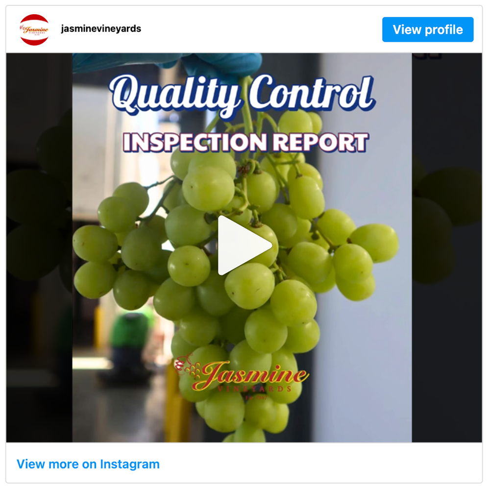 Get social with Jasmine Vineyards | July 23, 2025 10:30 AM