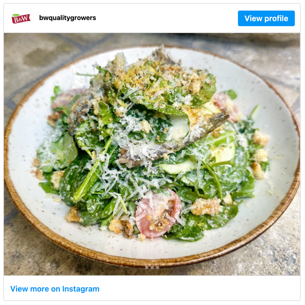Get social with B&W Gourmet Farms | July 25, 2025 10:30 AM