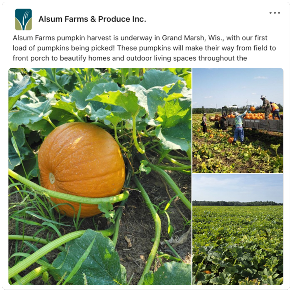 Get social with Alsum Farms & Produce | September 16, 2026 5:00 AM