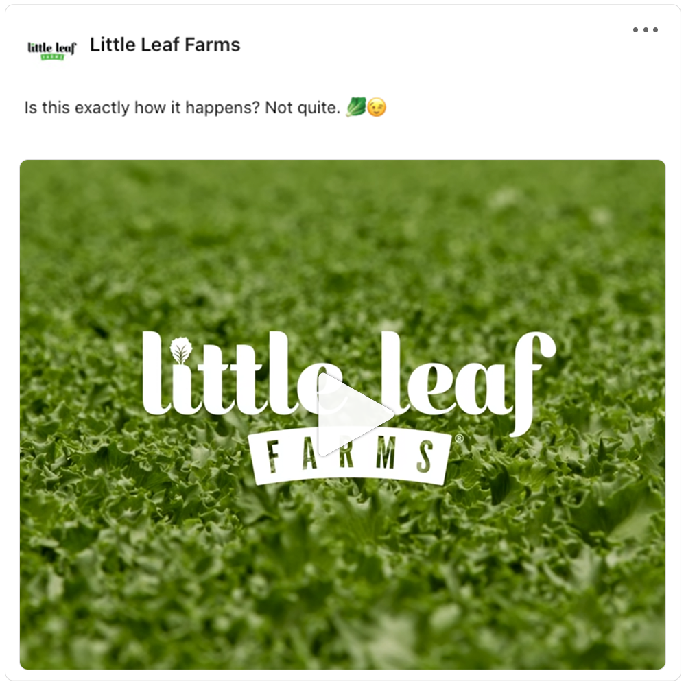 Get social with Little Leaf Farms  | September 17, 2026 5:00 AM