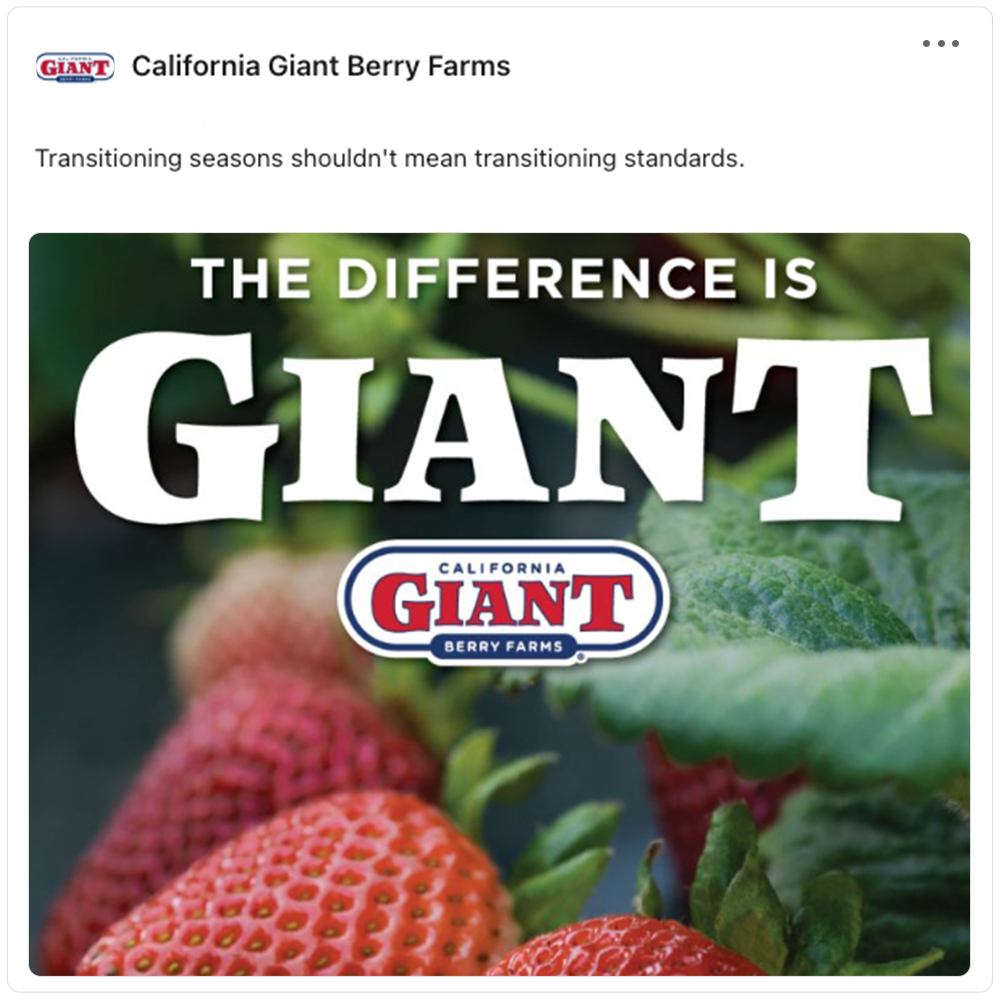 Get social with California Giant Berry Farms (CalGiant) | September 21, 2026 10:30 AM