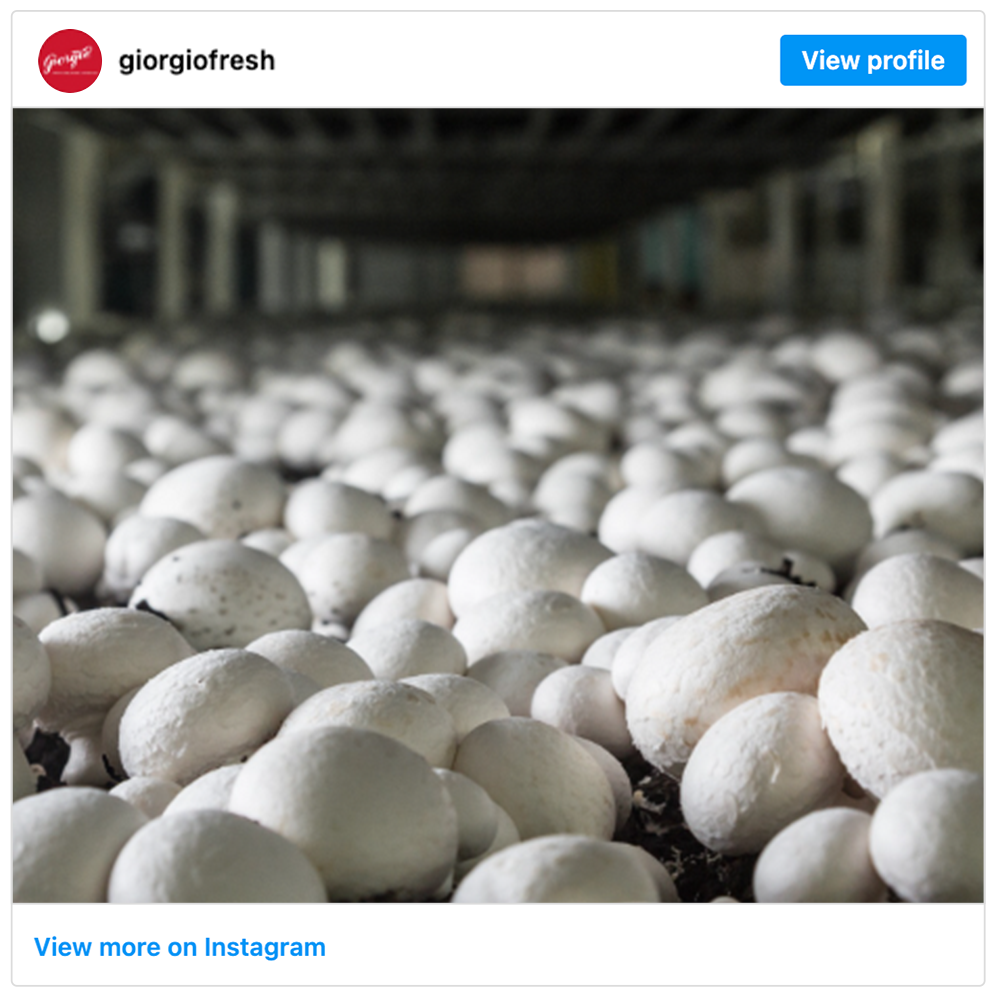 Get social with Giorgio Fresh | October 2, 2025 10:30 AM