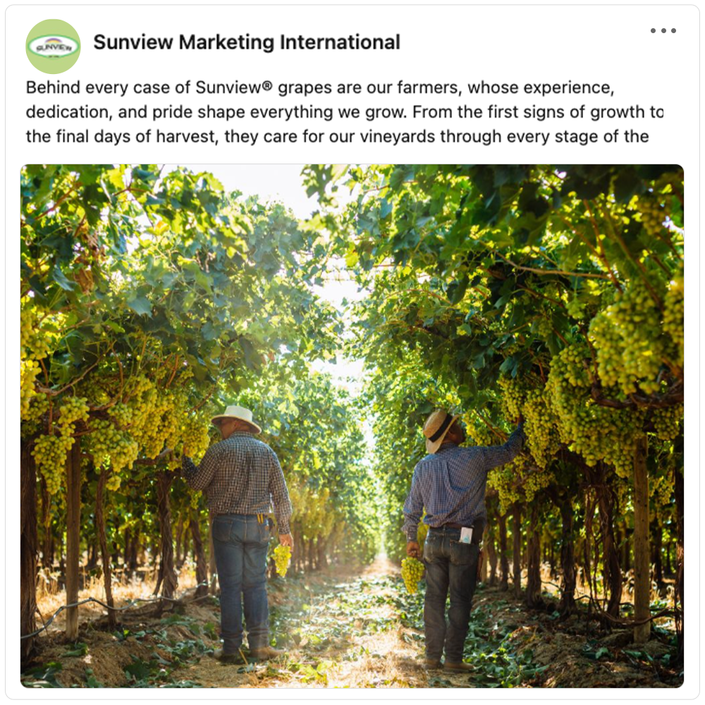 Get social with Sunview Marketing International  | October 21, 2026 10:30 AM