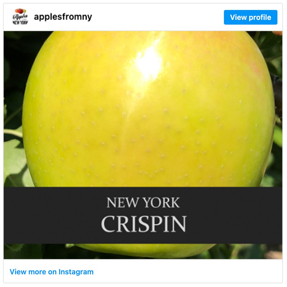 Get social with New York Apple Association  | November 4, 2025 9:30 AM