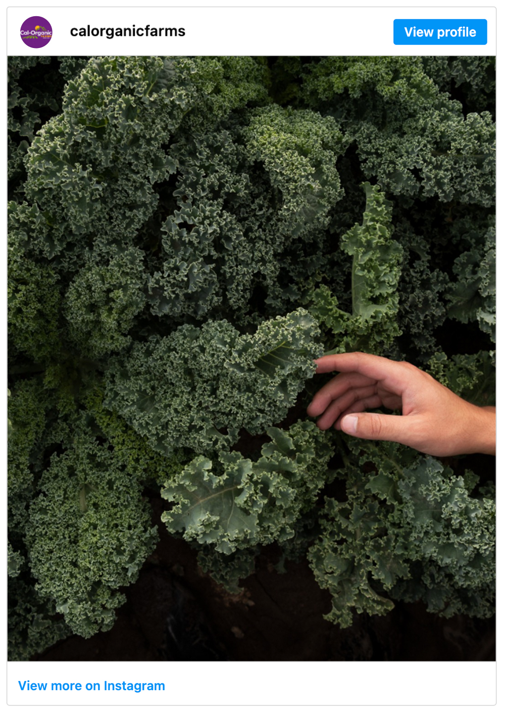 Get social with Cal-Organic Farms | November 5, 2025 9:30 AM
