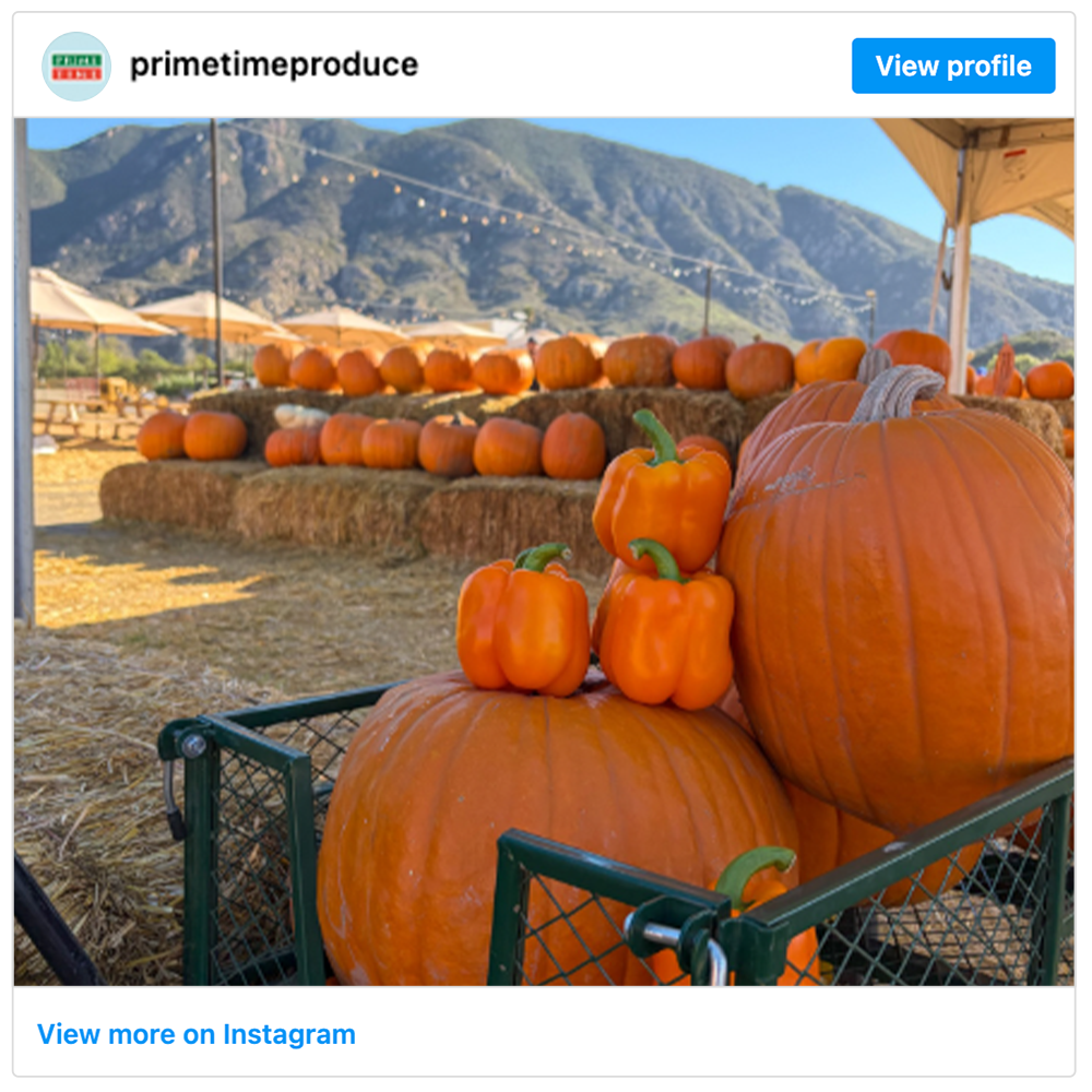 Get social with Prime Time | November 4, 2025 9:30 AM