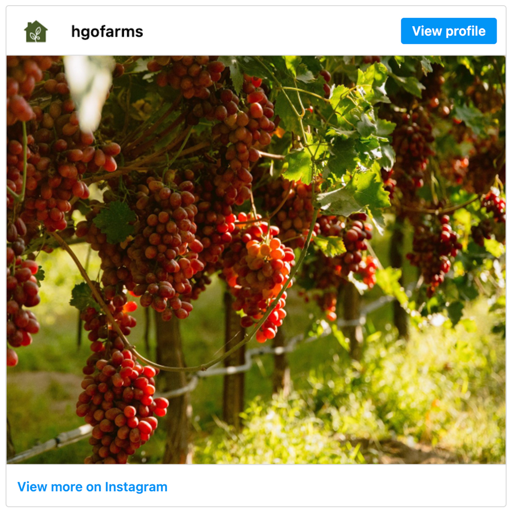 Get social with Homegrown Organic Farms | November 6, 2025 9:30 AM