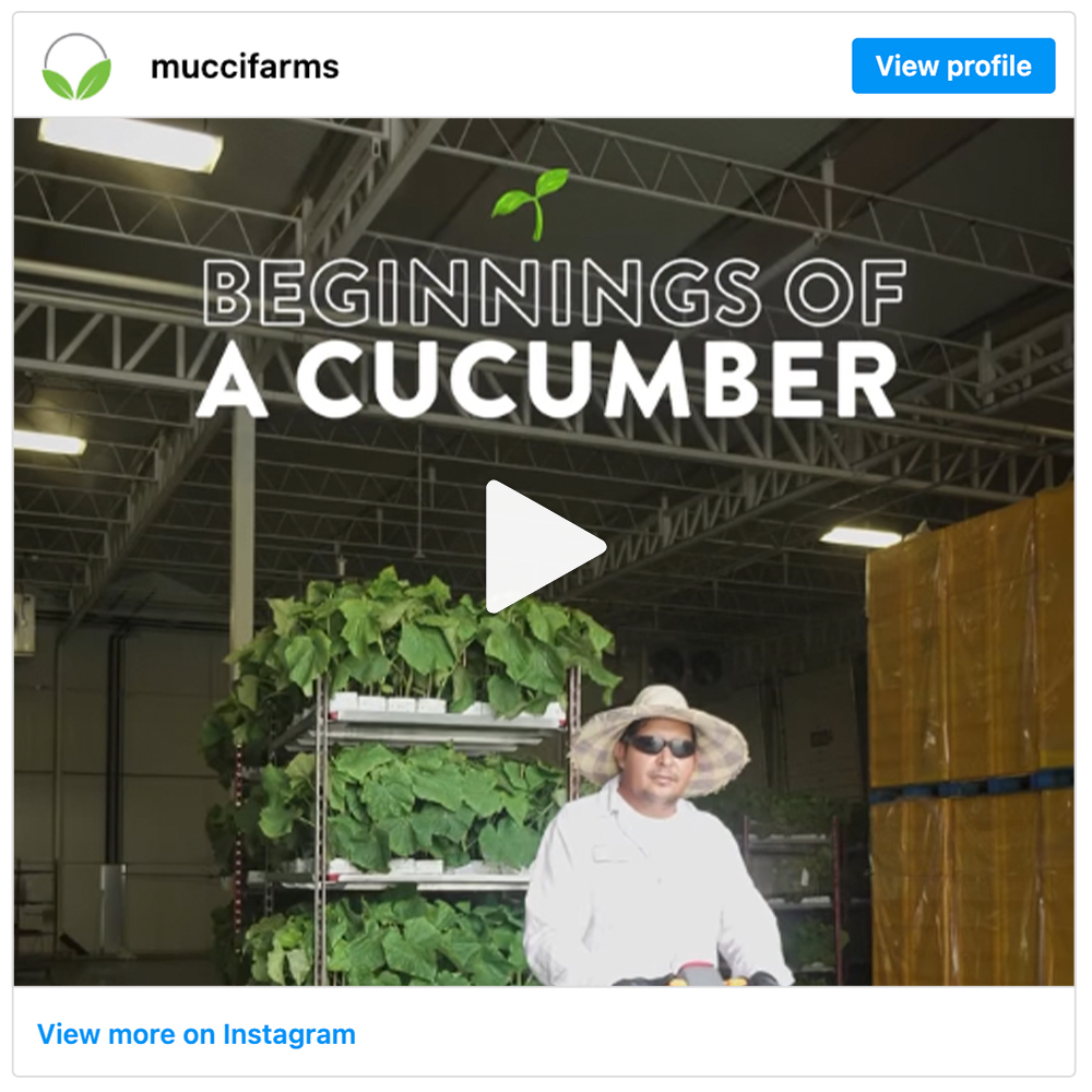 Get social with Mucci Farms | November 7, 2025 4:00 AM