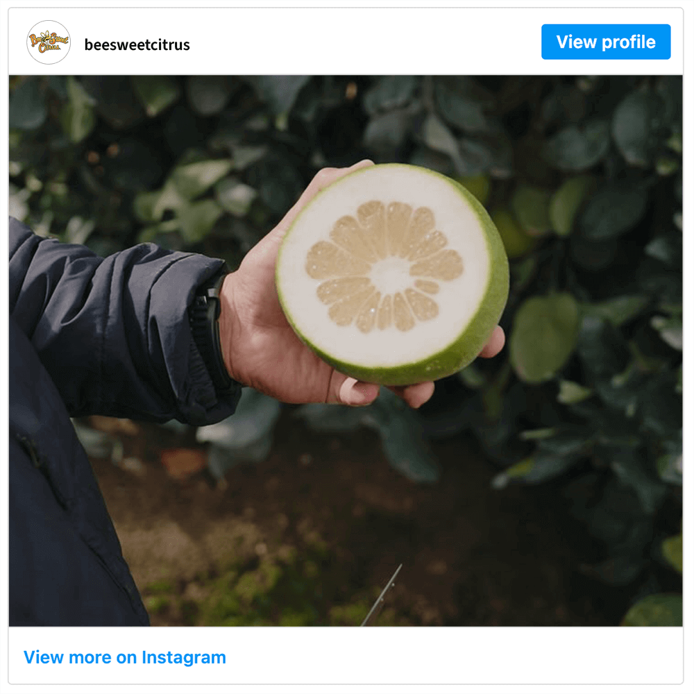 Get social with Bee Sweet Citrus | November 12, 2025 9:30 AM