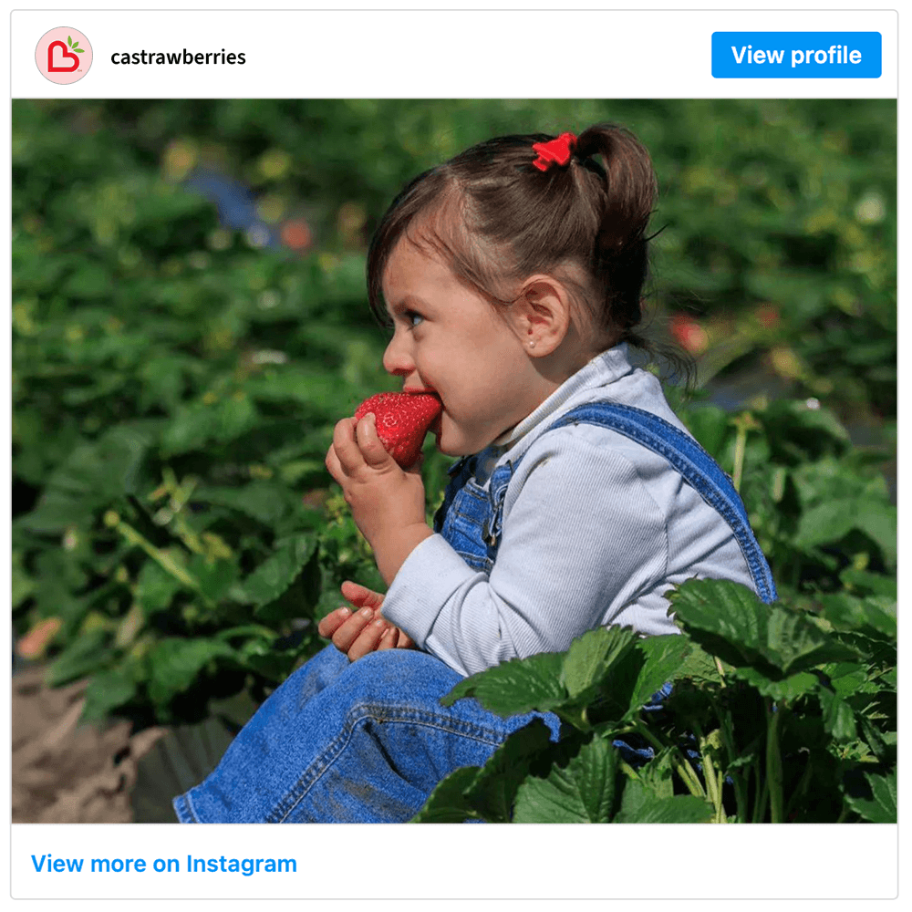 Get social with California Strawberry Commission | August 26, 2026 5:00 AM