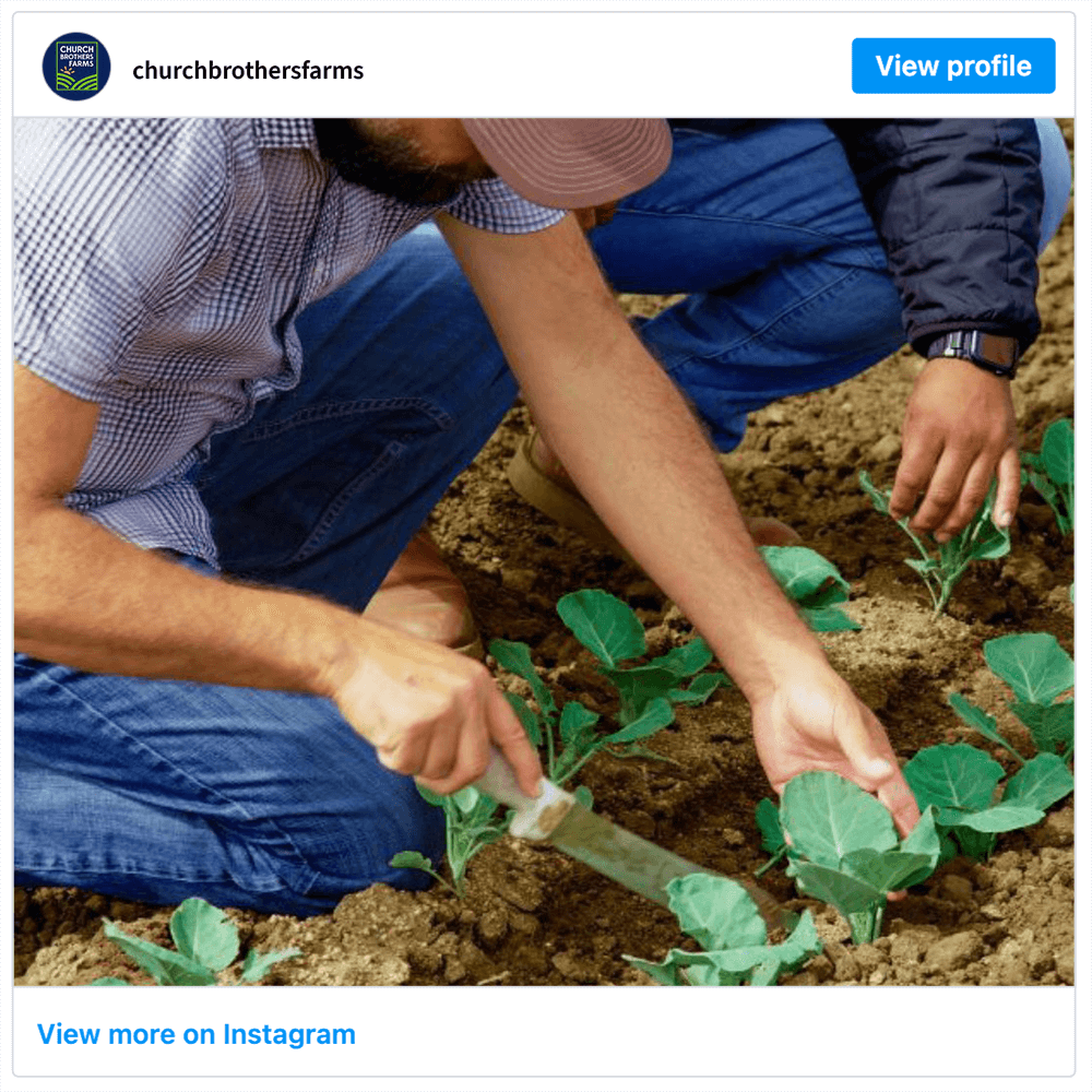 Get social with Church Bros Farms | December 19, 2025 10:30 AM