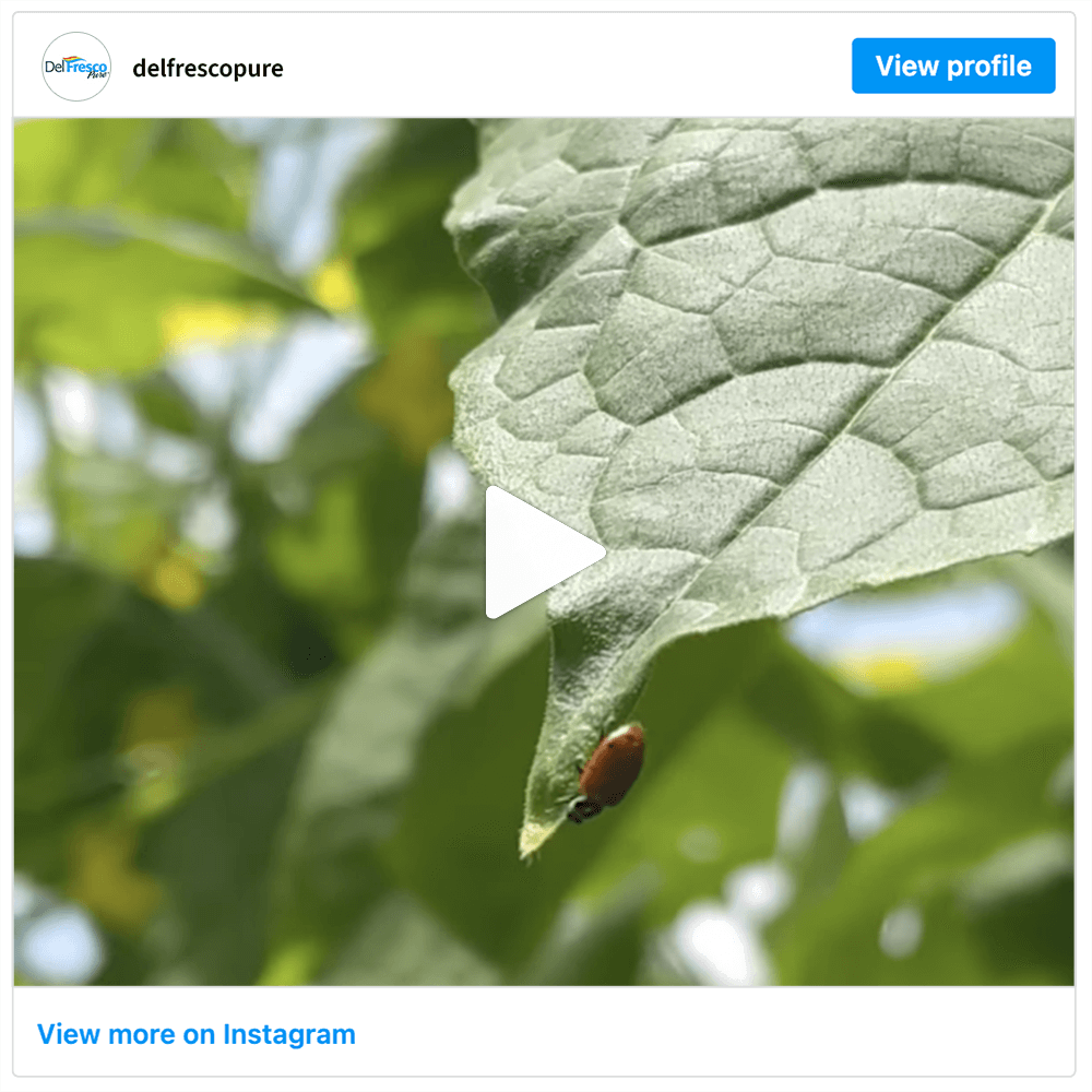 Get social with DelFrescoPure | August 28, 2025 10:30 AM
