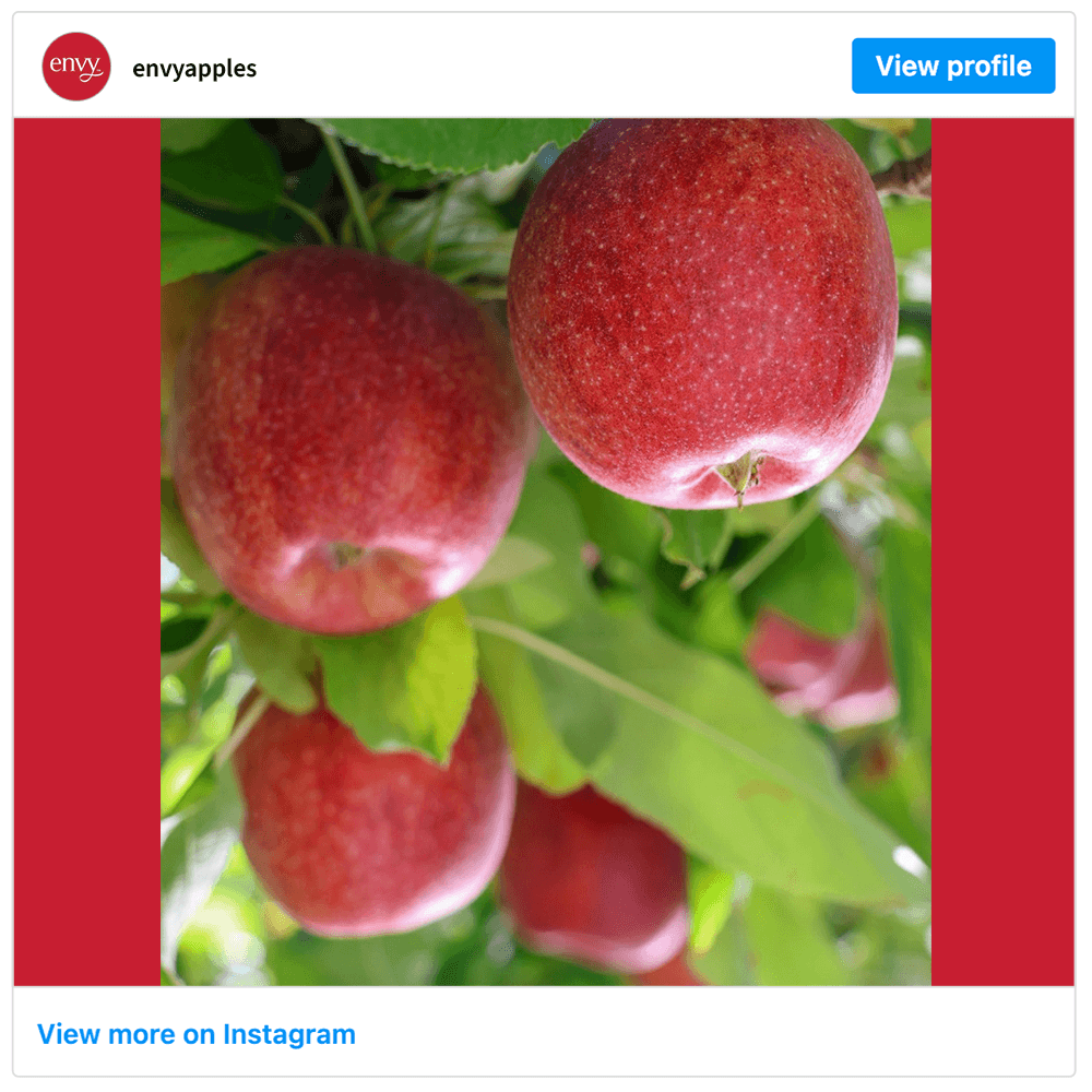 Get social with Envy Apple (Oppenheimer) | September 28, 2026 5:00 AM