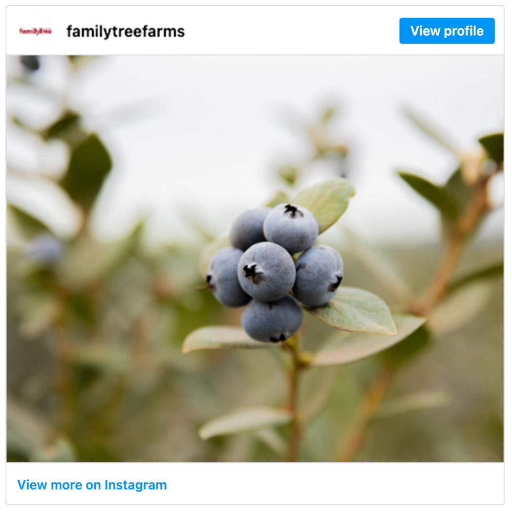 Get social with Family Tree Farms | April 16, 2025 10:30 AM