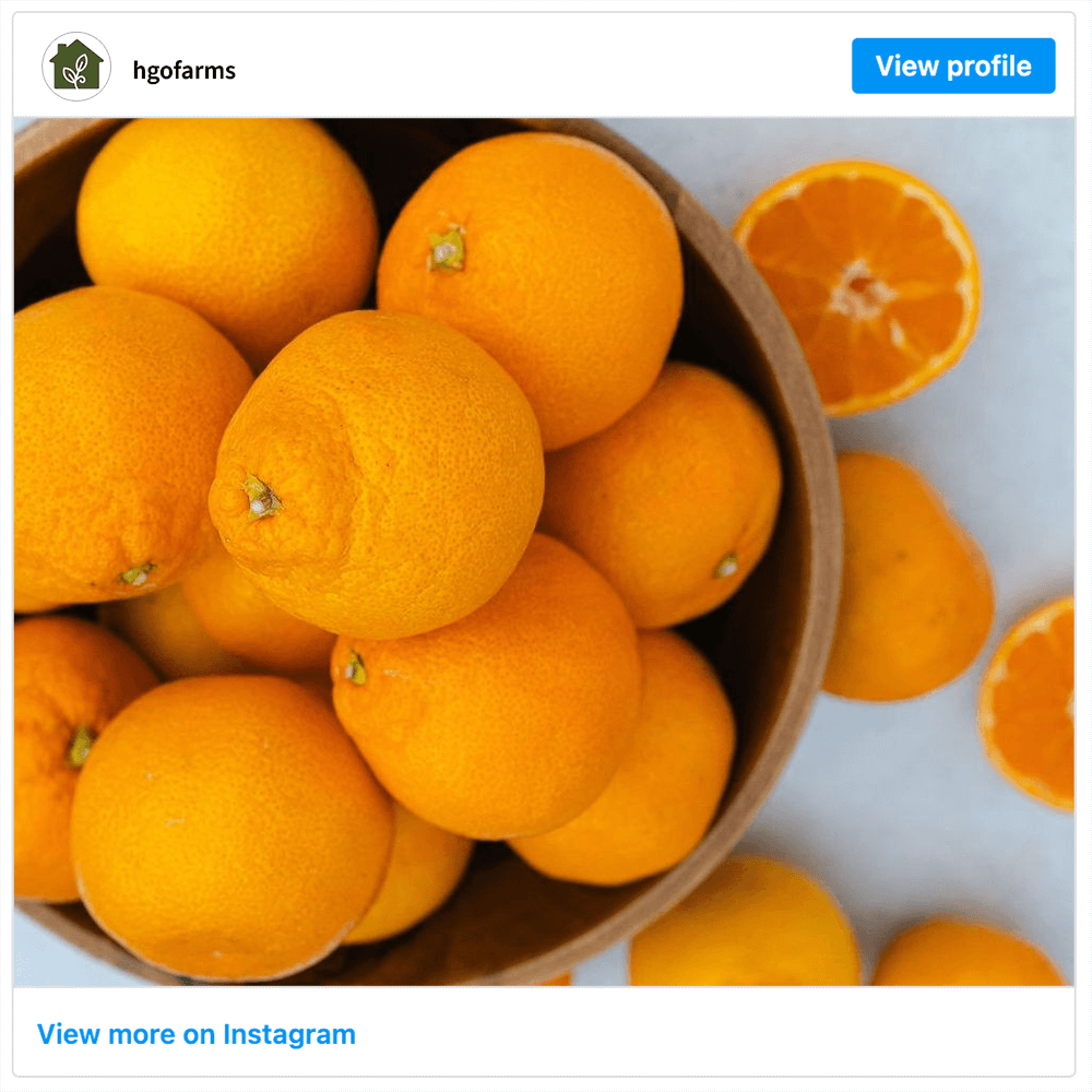 Get social with Homegrown Organic Farms | December 17, 2025 5:00 AM